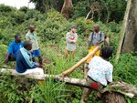 Managing Forest Resources in Liberia